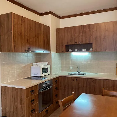 Bright & Lovely In With Free And Garage Apartment Bansko